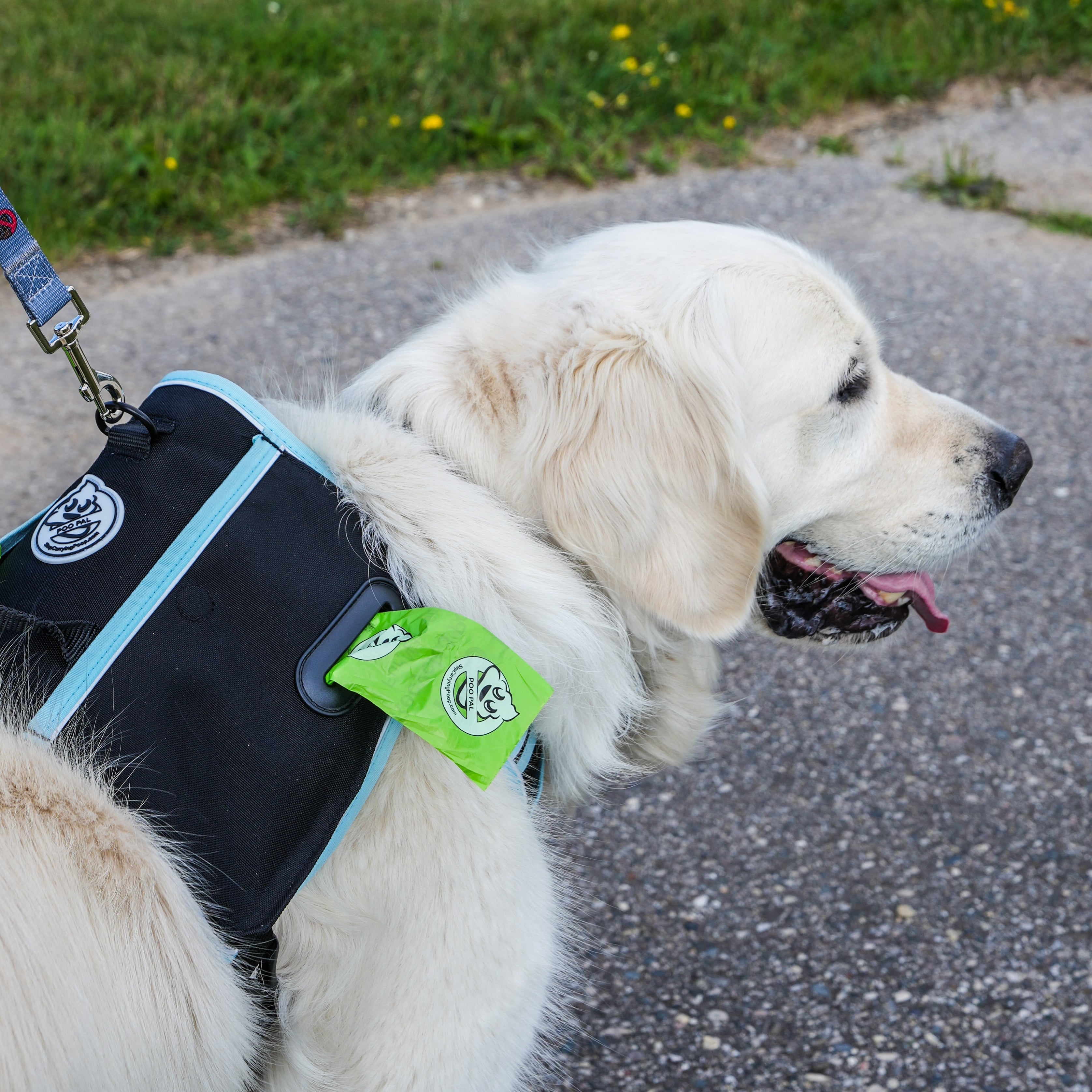 Poo Pal Harness