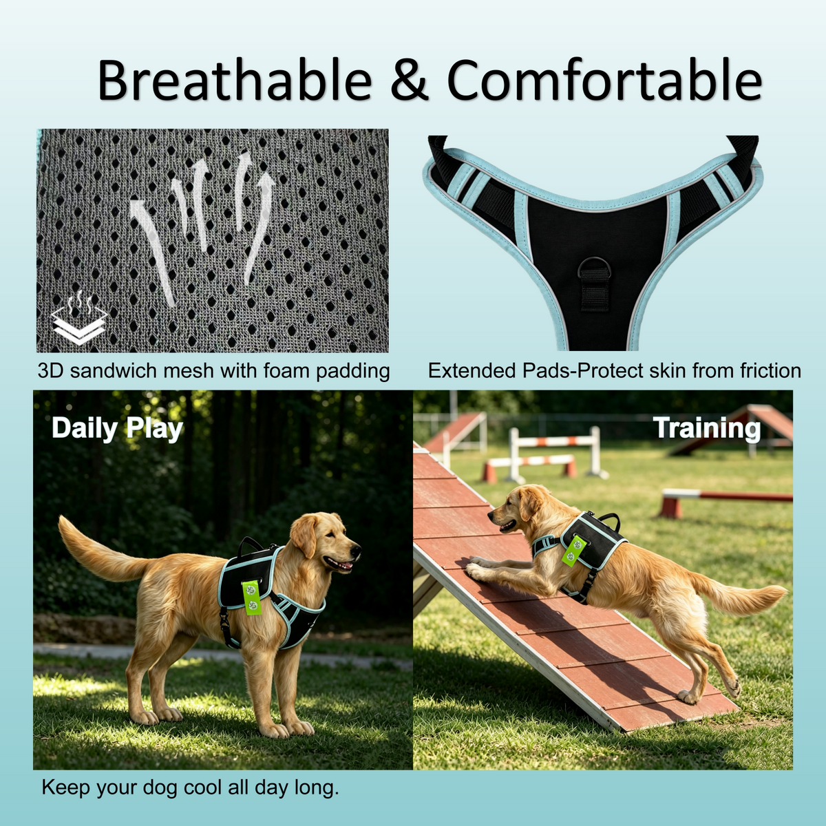 Poo Pal Harness