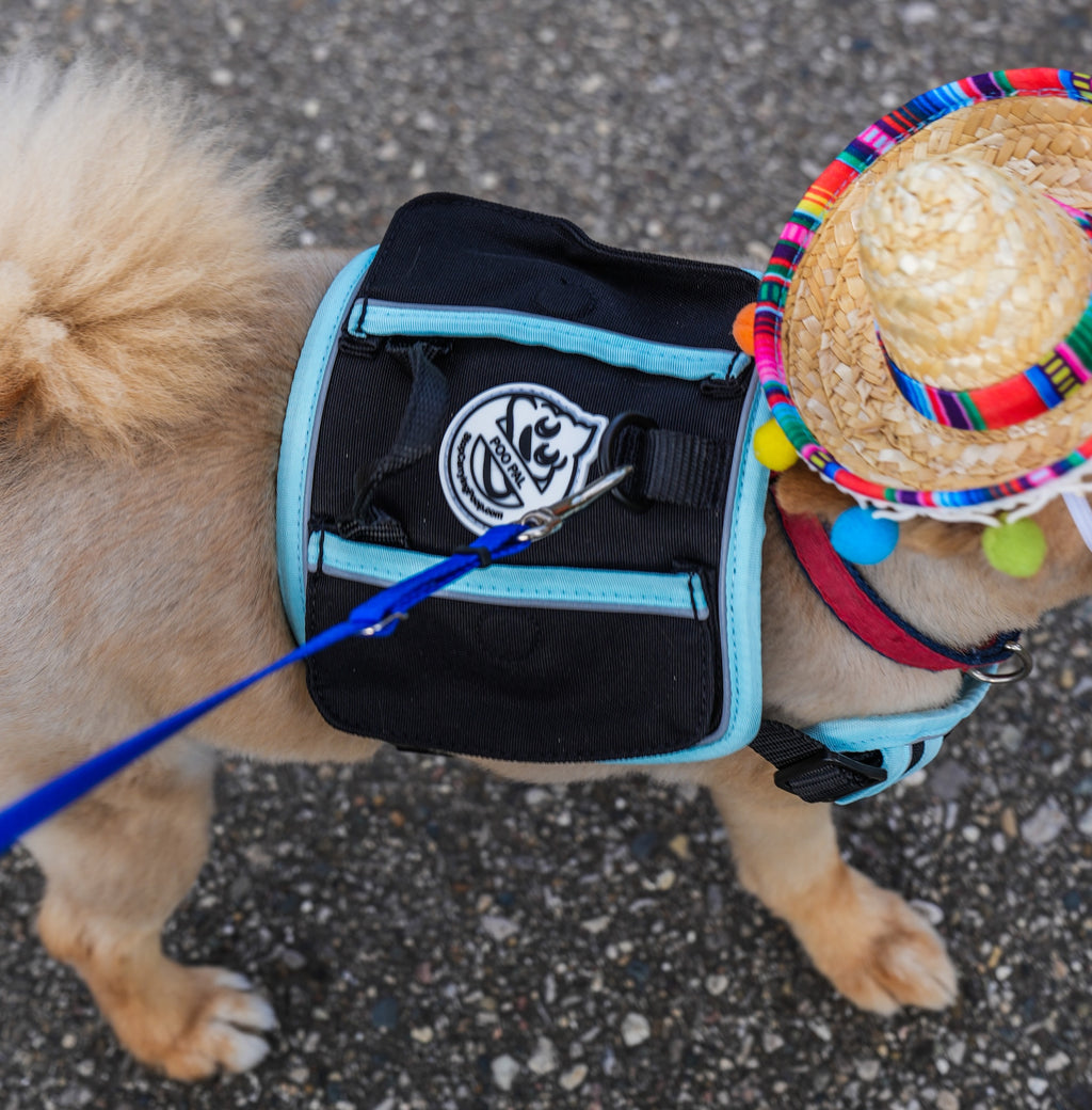 Poo Pal Harness