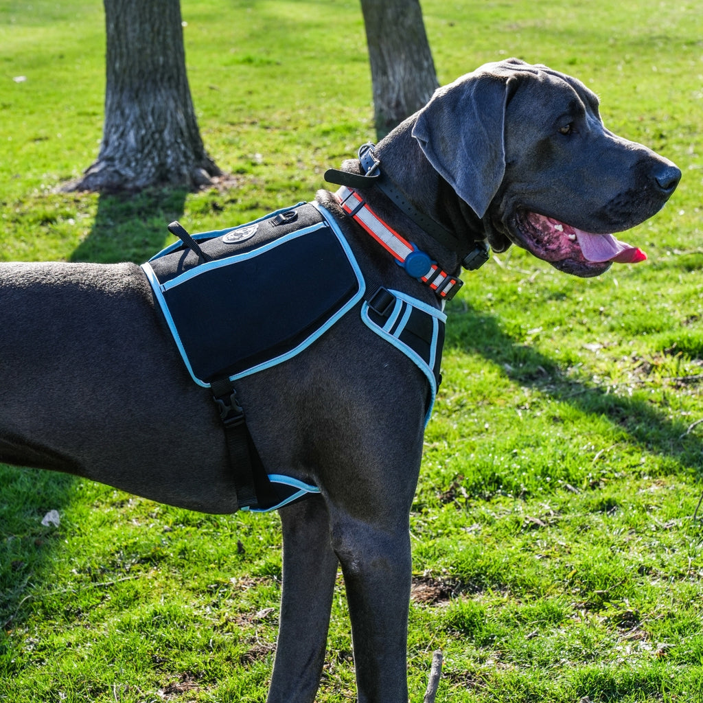Poo Pal Harness